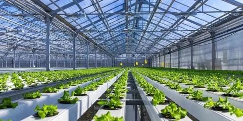 未来已来 探访5G植物工厂与农业数字孪生实验室，揭秘新农业的技术革命