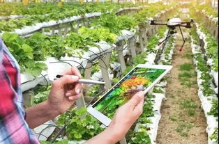 从沙漠到餐桌 牧原股份三大模式创新引领现代农业革命，创始人财富达400亿