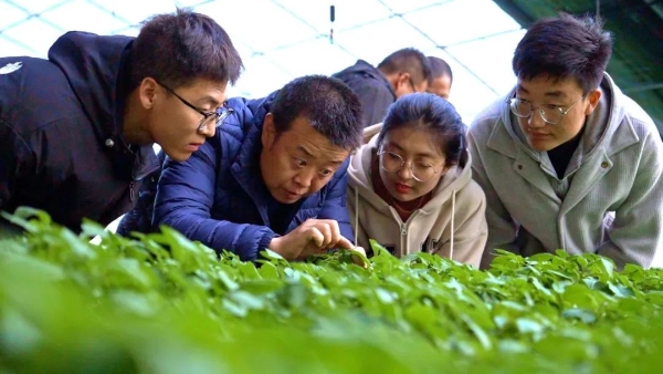 科技小院赋能薯乡，甘肃通渭马铃薯产业迎来新机——全省农技协组织和科技小院建设工作推进会实地调研侧记